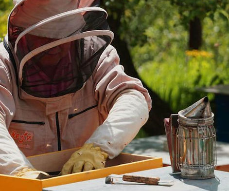 Beekeeper tending a hive